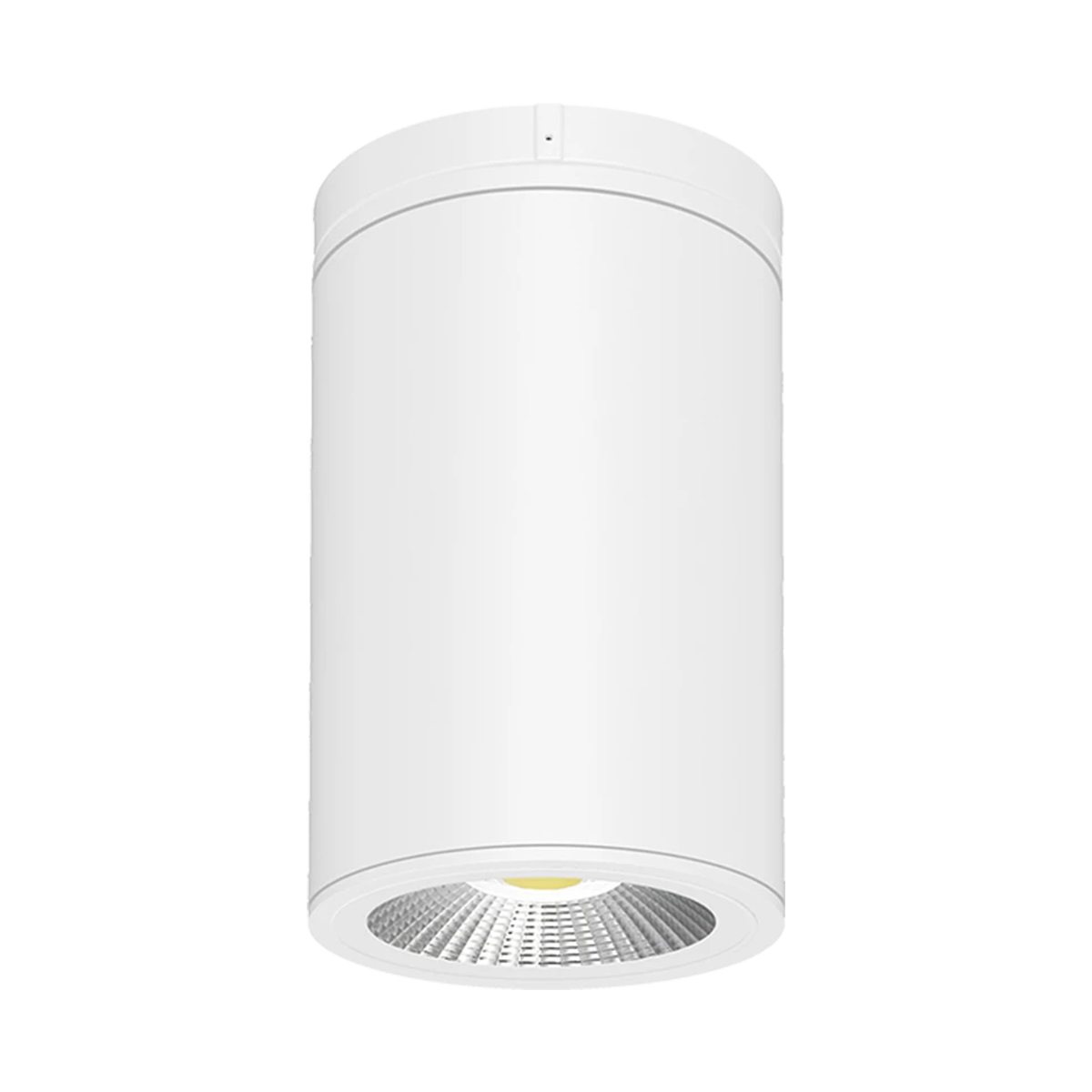 RAB CD34-6SPW - 6" LED Cylinder Surface/Pendant Light (White)