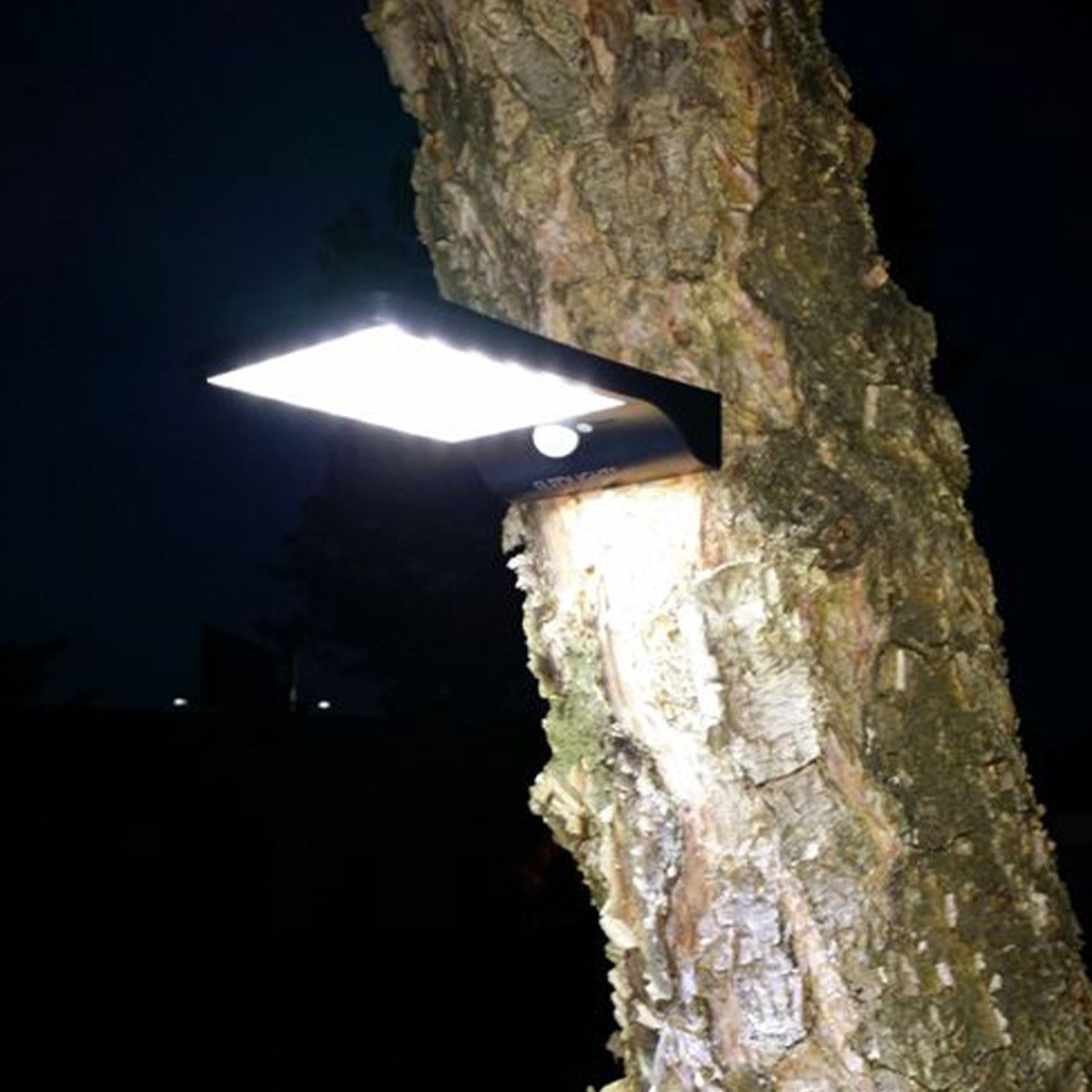 Solar LED Security Motion Light mounted on a tree, bright white light illuminating outdoor area at night