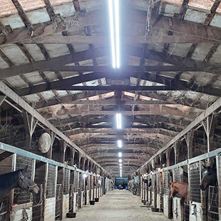 The Ultimate Guide to 8ft LED Tube Lights