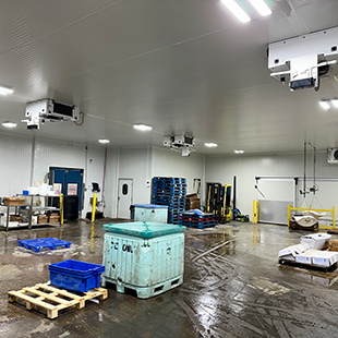 Essentials of Modern Warehouse Management: Lighting Systems