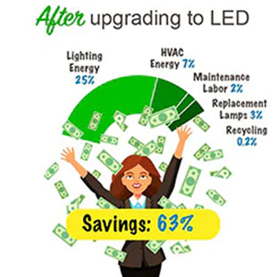 LED Lighting Saves Money & Energy