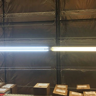 LED Shop Lights Help Legally Blind Family Members to See