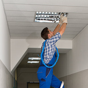 How Much Light Do You Need?