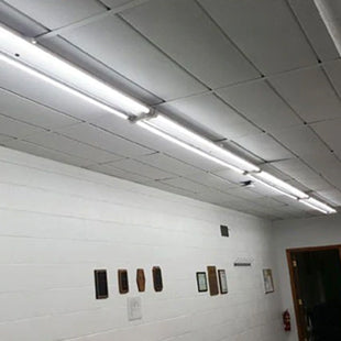 Upgrade Your T8 or T12 Lighting with 8ft LED Tube Lights