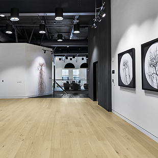 Comparing Traditional High Bay Lights with UFO LED Variants: Efficiency, Cost, and Longevity