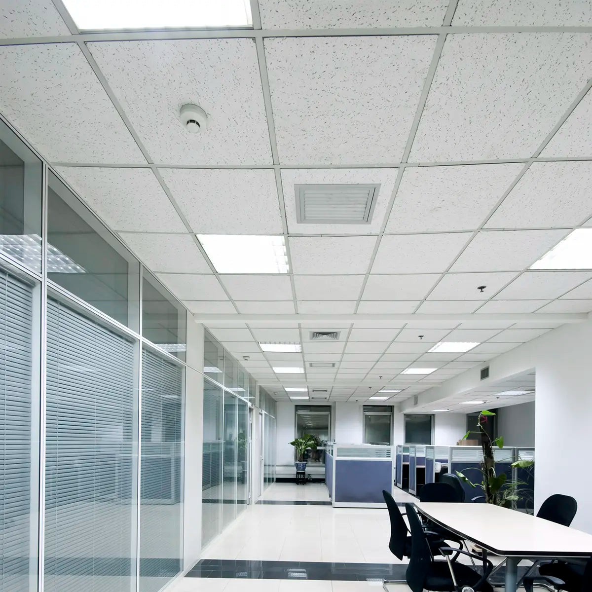 2ft 12W RAB T5HO LED Tube