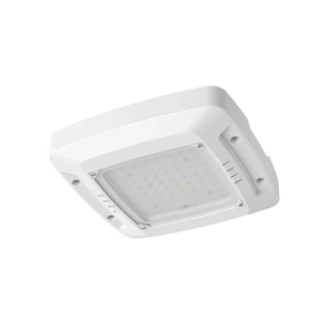 120W Selectable LED Canopy Light