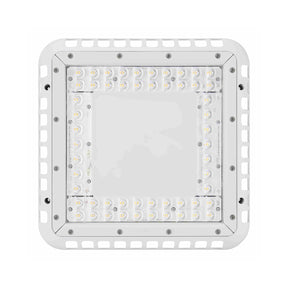 LED Canopy Light - 100/80/60/40W