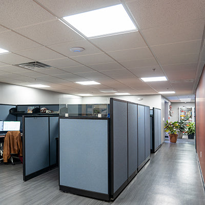 Office with fluorescent troffer fixtures