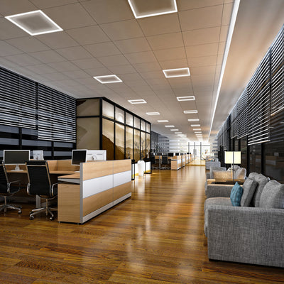 RAB FRAME LED edge lit frame lights shown installed in a modern office with suspended ceilings.