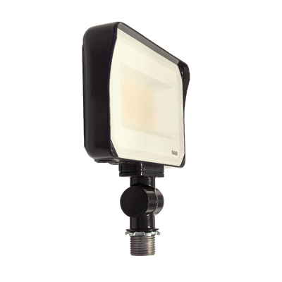 LED Flood Light - RGBW - 60W - RAB X34