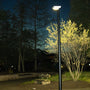 Solar LED Area & Pathway Light 8W mounted on black pole illuminating tree and park bench at night