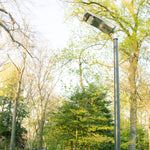 Solar LED Area Light Light - 20W mounted on pole in a wooded outdoor area during daytime