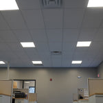 Office ceiling with bright LED panel lights illuminating workspace cubicles below