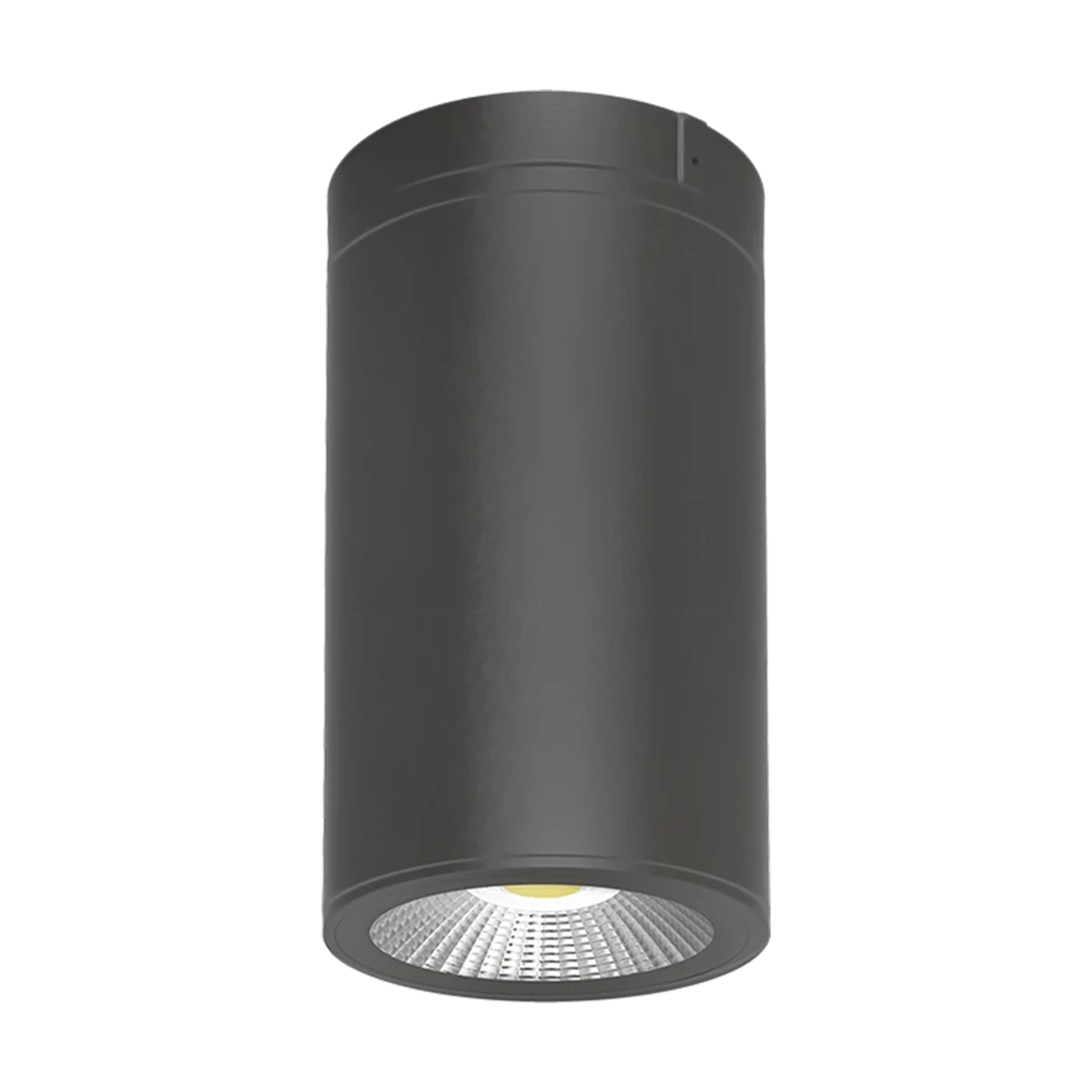 RAB CD34-4SPZ - 4" LED Cylinder Surface/Pendant Light (Bronze)