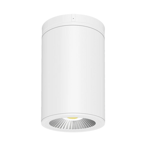 30W Selectable RAB CD34 6" LED Cylinder Surface Pendant Light - White