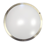 16" Double Ring LED Ceiling Light with brushed nickel finish and adjustable 5-color temperature settings