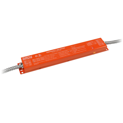 Emergency Driver for LED Lights - 20W
