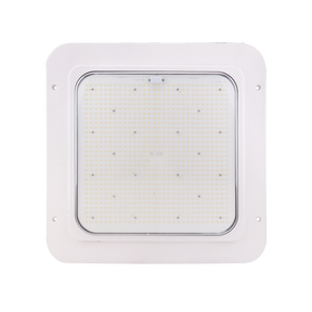 LED Canopy Light - 240W