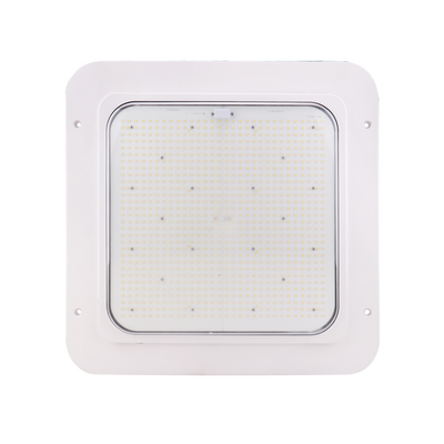 LED Canopy Light - 240W