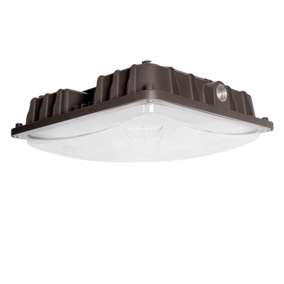 LED Canopy Light - 60W