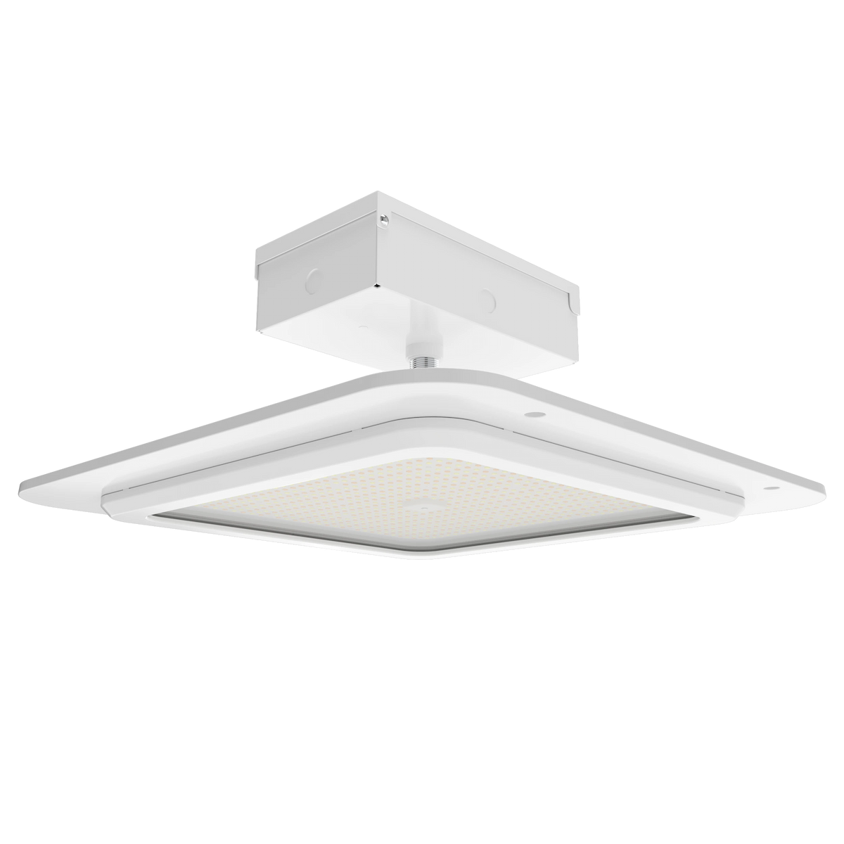 RAB MASI20 LED Field-Adjustable Canopy Light – 150/180/200W, 3 CCT