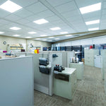 Office space with bright uniform lighting from 2x2 LED Panel 40W RAB T34 installed in drop ceiling tiles