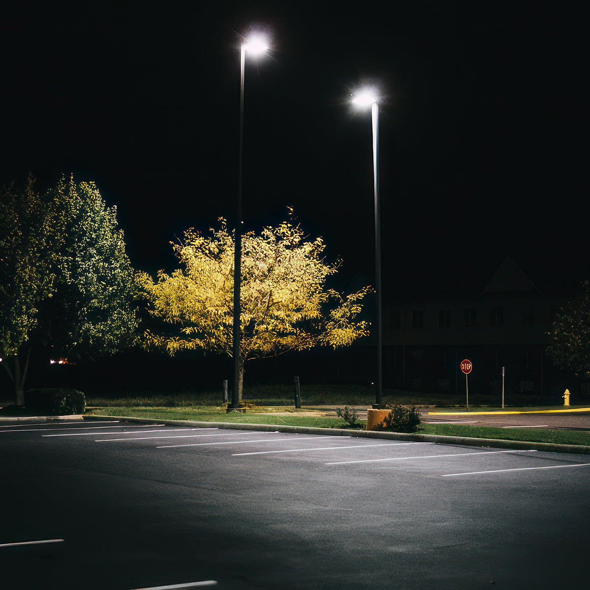 LED Shoebox Area Light 3 CCT illuminating a parking lot with bright white light at night