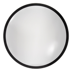 13" Single Ring LED Ceiling Light with slim black frame and frosted diffuser, adjustable color temperature light fixture