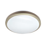 13" Single Ring LED Ceiling Light with 5-CCT color settings and slim modern design, 16W energy efficient fixture