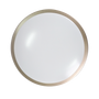 15 inch Single Ring LED Ceiling Light with adjustable color temperature and sleek modern design in a metallic finish