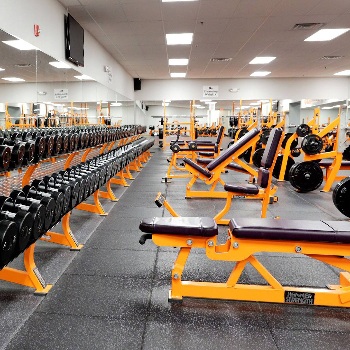 Bright gym interior lit by 2x4 Backlit LED Panel 3 CCT 22W 30W 38W MaxLite FlatMax Gen5 ceiling lights