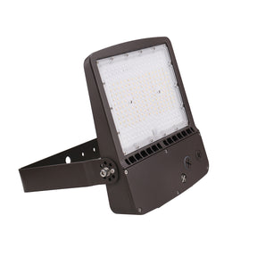 Value LED Flood Light