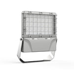 Wire Guard for EXPFL4 Light protecting the hazardous location flood light fixture from damage.