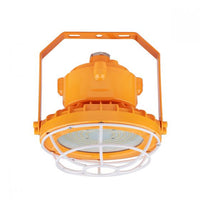 Wire Guard accessory shown on round explosion proof lights